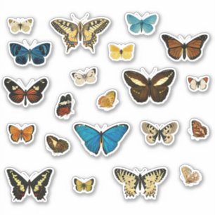 Sticker Eléments de journal de junk Vintage papillon (21)