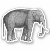 Sticker Eléphants asiatiques Imprimer (Devant)