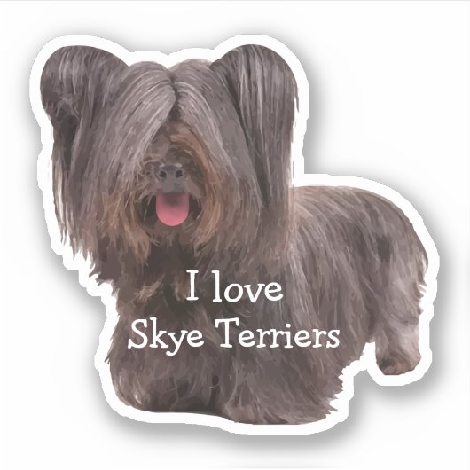 Sticker Élevage de chiens de race Skye Terrier (Devant)