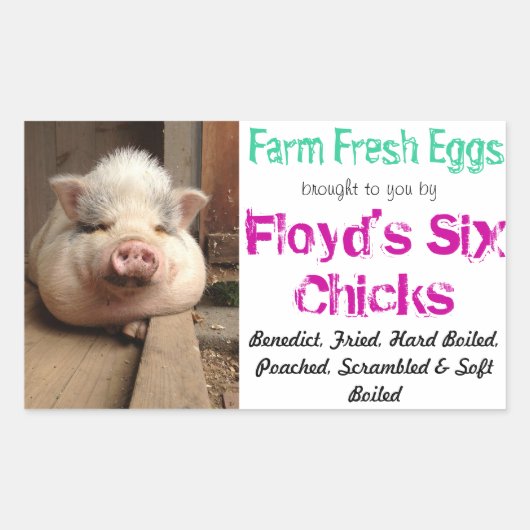 Sticker en carton d'oeufs (Devant)