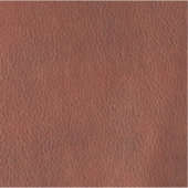 Sticker en cuir en vinyle coupé sur mesure (Devant)