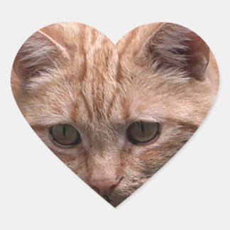 Sticker en forme de coeur de chat gingembre