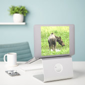 Sticker en vinyle 8x8 pour orignal (Ordinateur portable sur le bureau)