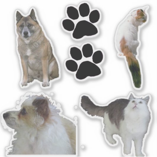 Sticker en vinyle - Chats et Chiens (Devant)
