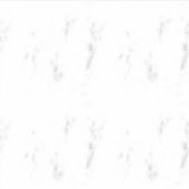 Sticker en vinyle coupé sur mesure (Devant)