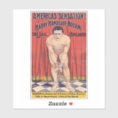 Sticker en vinyle coupé sur mesure (Feuille)