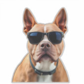 Sticker en vinyle coupé sur mesure en lunettes de (Devant)