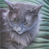 Sticker en vinyle cousu sur mesure gris vert (Devant)