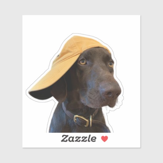 Sticker en vinyle de chien Pudelpointer (Feuille)