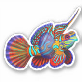Sticker en vinyle de poisson Mandarin Ocean Fish (Devant)