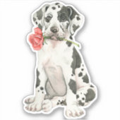 Sticker en vinyle de Saint Valentin Rose Great Dan (Devant)