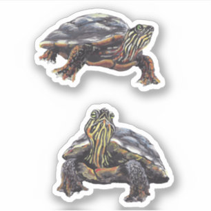 Sticker en vinyle de tortue peint