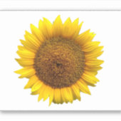 sticker en vinyle de tournesol (Devant)