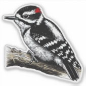 Sticker en vinyle découpé sur mesure pour l'oiseau (Devant)