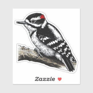 Sticker en vinyle découpé sur mesure pour l'oiseau