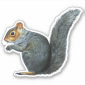 Sticker en vinyle d'écureuil joueur (Devant)