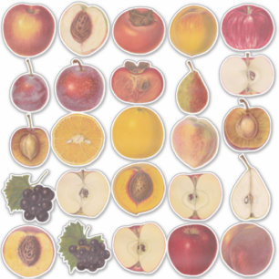 Sticker en vinyle d'illustration de fruits Vintage