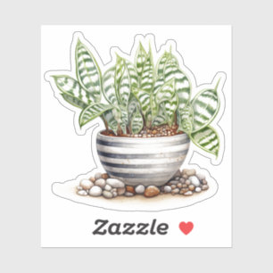 Sticker en vinyle Plante Zebra Haworth