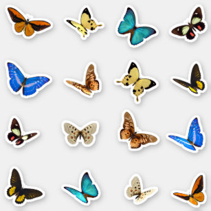 Sticker en vinyle pour papillons colorés