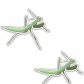 Sticker en vinyle - Preying Mantis (Devant)