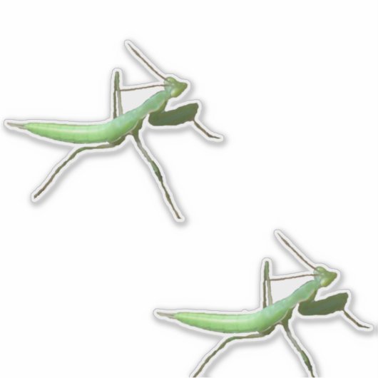 Sticker en vinyle - Preying Mantis (Devant)