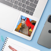 Sticker en vinyle Sam Le Cat Dragon (Ordinateur portable avec iPhone)