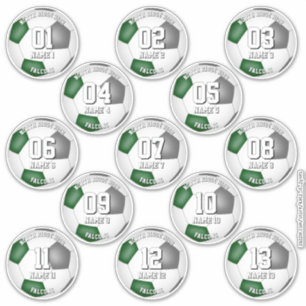 Sticker ensemble de couleurs d'équipe vert gris 13 joueurs