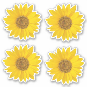 Sticker Ensemble de quatre Tournesols Jaunes Contour