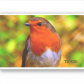 Sticker Envelope verzegelt Robins bericht (Voorkant)