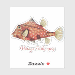 Sticker Ernst Haeckel Coffre Nautique Rouge Faune Marine