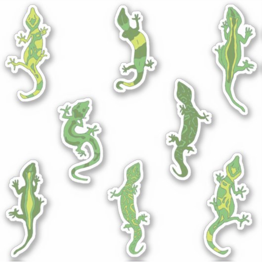 Sticker Escalade rock Geckos. (Devant)