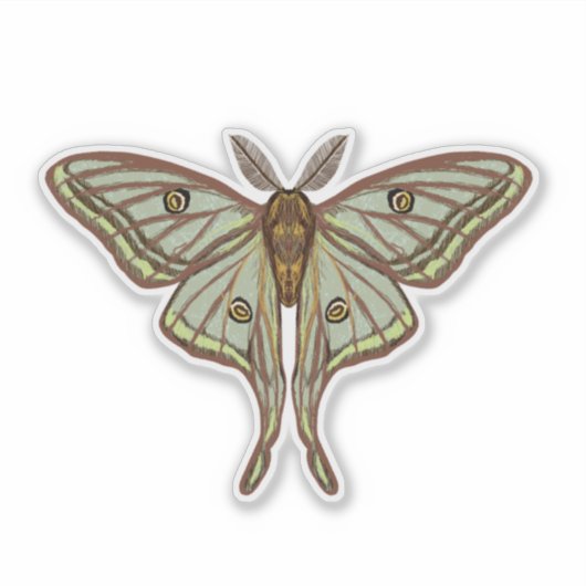 Sticker Espagnol Moth, Luna Moth (Devant)