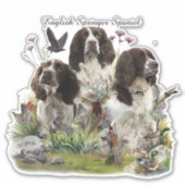 Sticker Espagnol Springer anglais, Art (Devant)