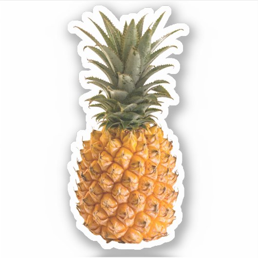 Sticker Été moderne joli girly tropicale ananas (Devant)