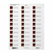 Sticker Étiquette Cartes de voeux Joyeux Noël (Feuille entière)