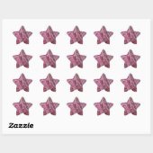 STICKER ÉTOILE 056.JPG (Feuille)
