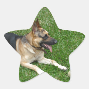 Sticker Étoile 3 german-berger-dépôt.png