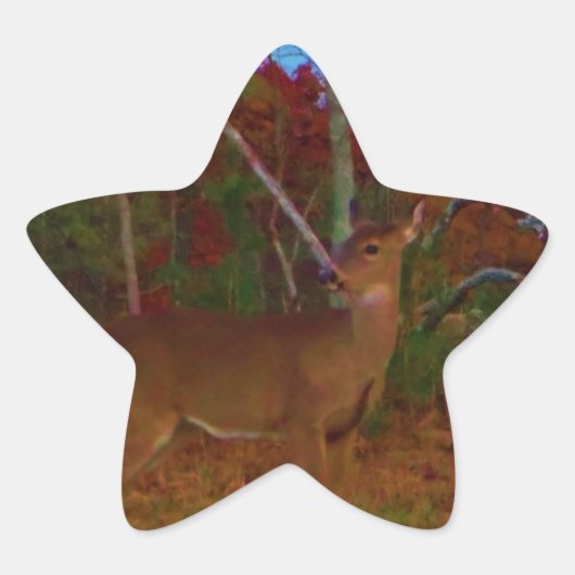 Sticker Étoile A Deer : Gold Red Green et Blue (Devant)