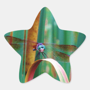 Sticker Étoile A teal Eyed Dragonfly with cattails
