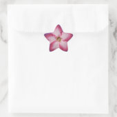 Sticker Étoile Adénium Fleur Rose Flore Dégradé Violet (Sac)