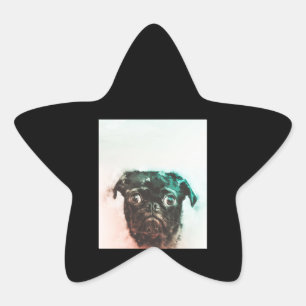 Sticker Étoile Aquarelle carlin Aquarelle d'art de chien de Car