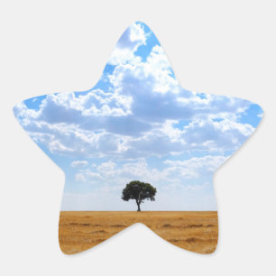 Sticker Étoile Arbre dans un champ de blé récolté