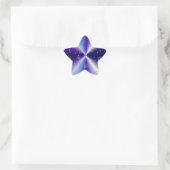 Sticker Étoile Arc-en-ciel violet (Sac)