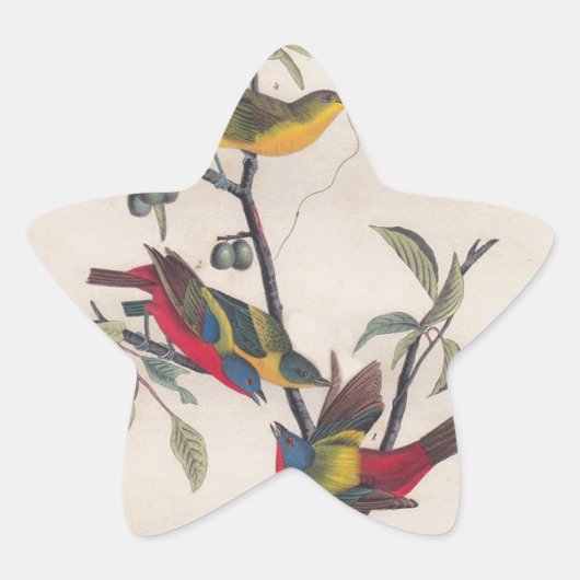 Sticker Étoile Audubon Peint Bunting Bird Wildlife (Devant)