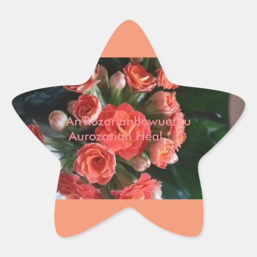 Sticker Étoile Aurozarian Heal * ^ (Devant)