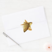 Sticker Étoile Baseball (Enveloppe)