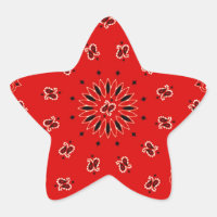 BBQ Red Paisley Western