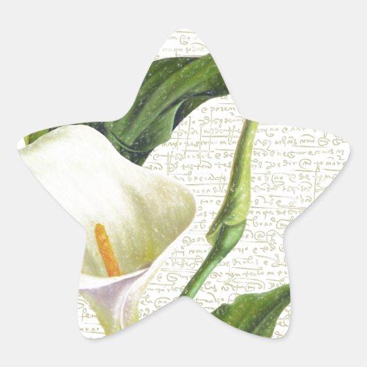 Sticker Étoile Beautiful Calla (Devant)
