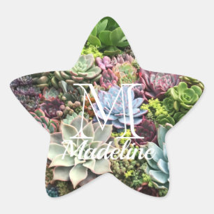 Sticker Étoile Beaux succulents