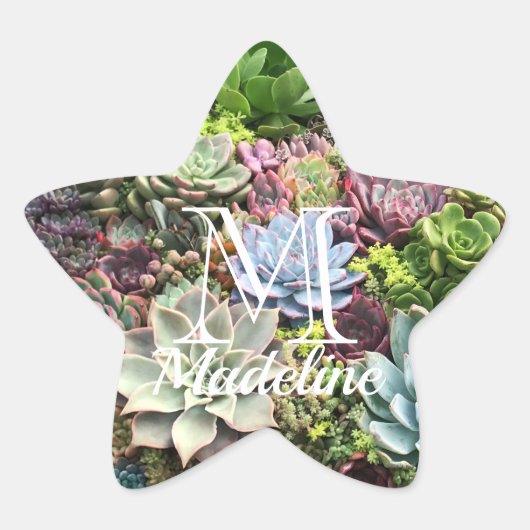 Sticker Étoile Beaux succulents (Devant)